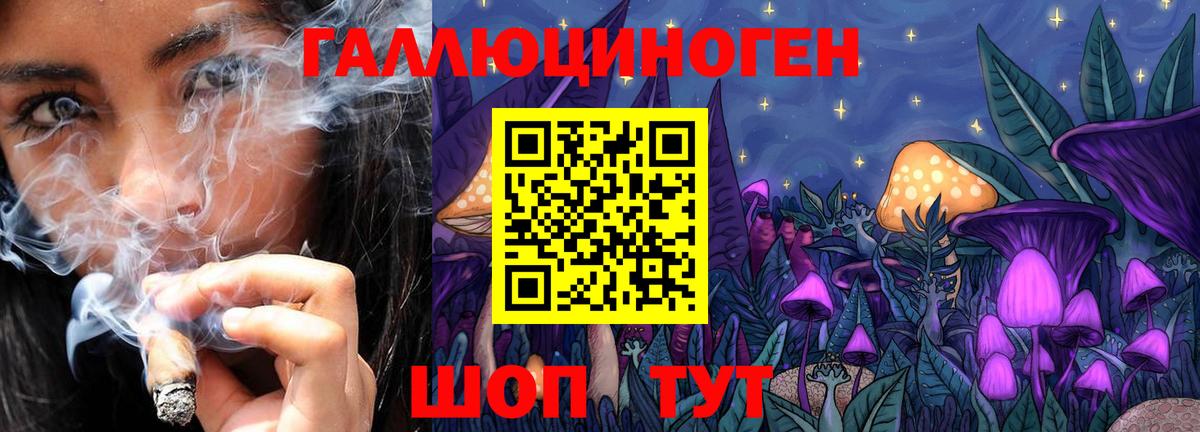 Галлюциногенные грибы Psilocybine cubensis  Вход с VPN  Мирный 