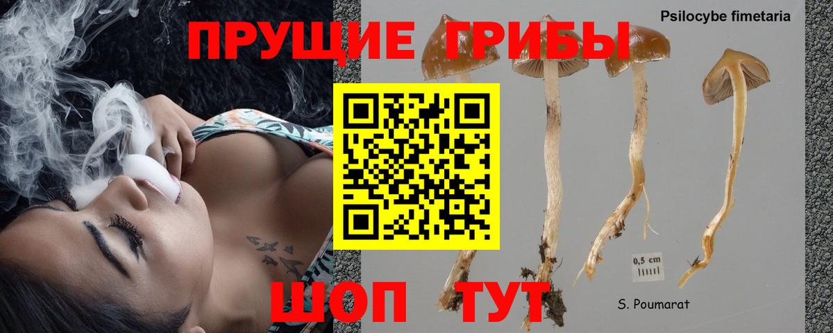 Галлюциногенные грибы мухоморы Мирный
