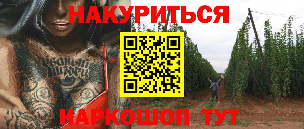 Каннабис планчик  МАРИХУАНА SATIVA & INDICA  Вход с VPN  Мирный 